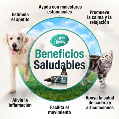 Pethuellas™ Más Tiempo Juntos